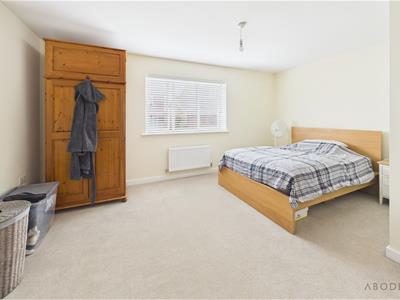 Picture 15